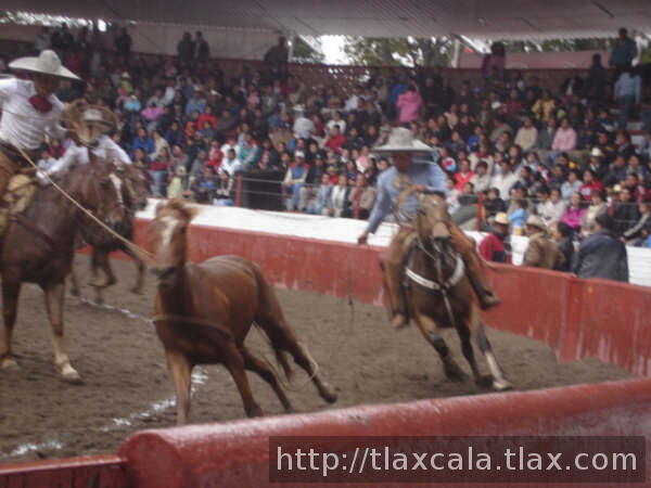 Roberto hernandez busca