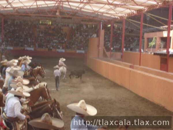 Charros del df