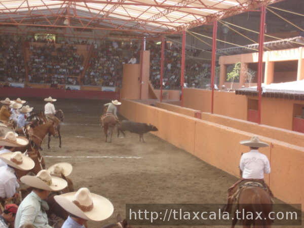 De los de casa