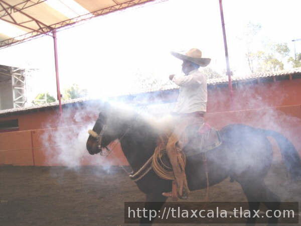 Delicioso aroma a fuste quemado