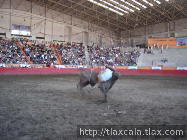 El toro cabecea a rene y le abre la ceja