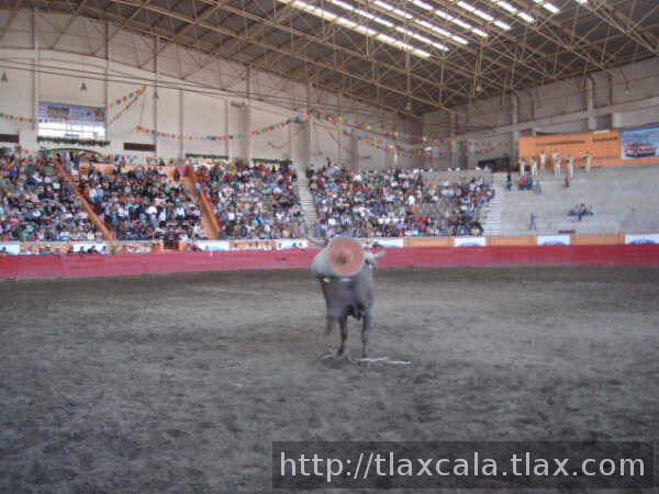 El toro de rene vuelve a descomponerlo
