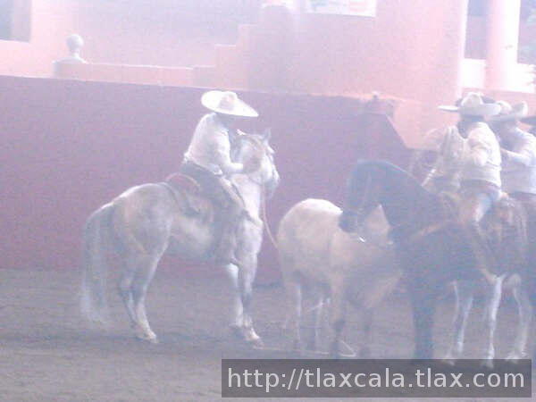 Emilio osorio colocando pial