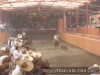 Enrique yaca aderribando