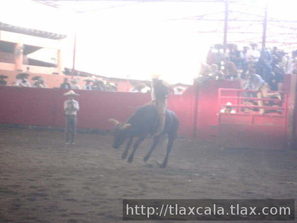 Fuertes reparos a queretaro
