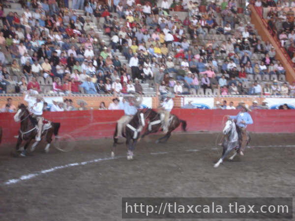1a mangana de fernando barrios que falla