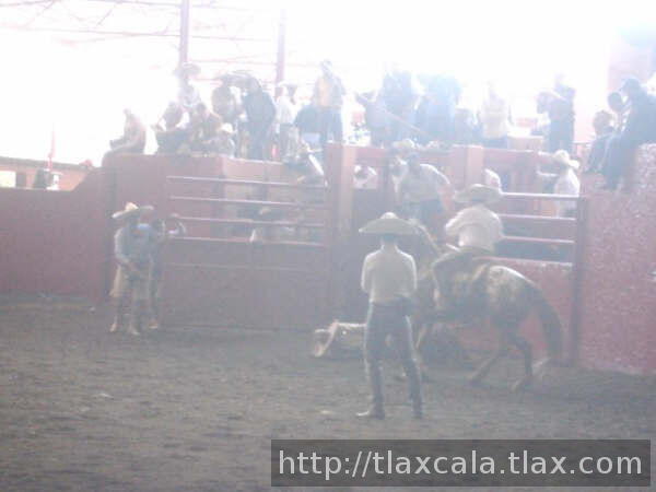 Gabriel leal de puebla en el suelo con todo y yegua