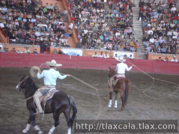 Innovacion de la naciuonal, pueden florear los dos terneadores