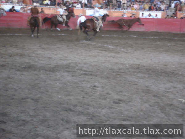 1a mangana del tecol fallando