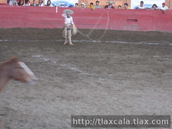 Manganeador anfitrion con admiradoras atras