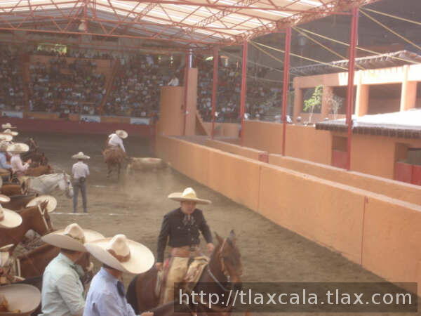 Mas del df