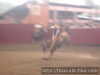 Nacho guarda de morelos
