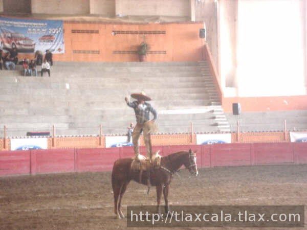 Paco rodriguez de quintana roo pasada a caballo