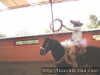 Pial de morelos