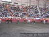 Ponies de lanacional