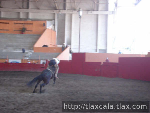 Raul macias aferrado