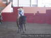 Raul macias asegurando