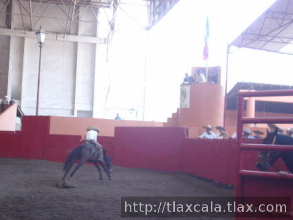 Raul macias bien agarrado