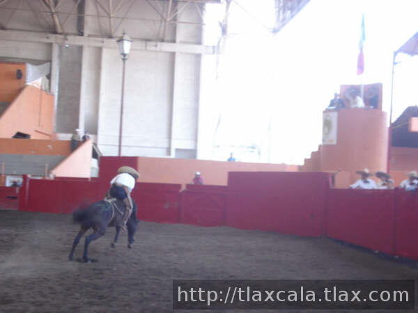 Raul macias dominando