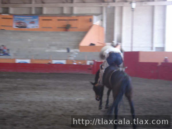 Raul macias en la yegua
