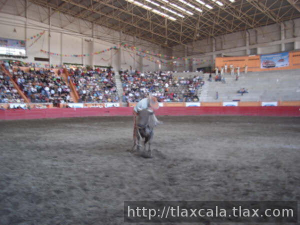 Rene lopez se aferro al toro
