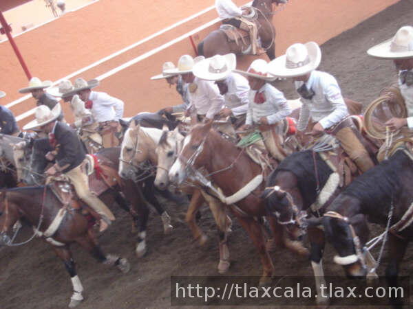 Seleccion de morelos