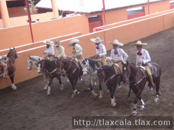 Seleccion de queretaro