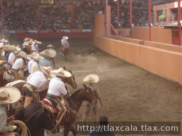 Todos atentos a las acciones