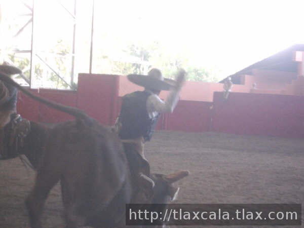 Buena jineteada de polo galarza