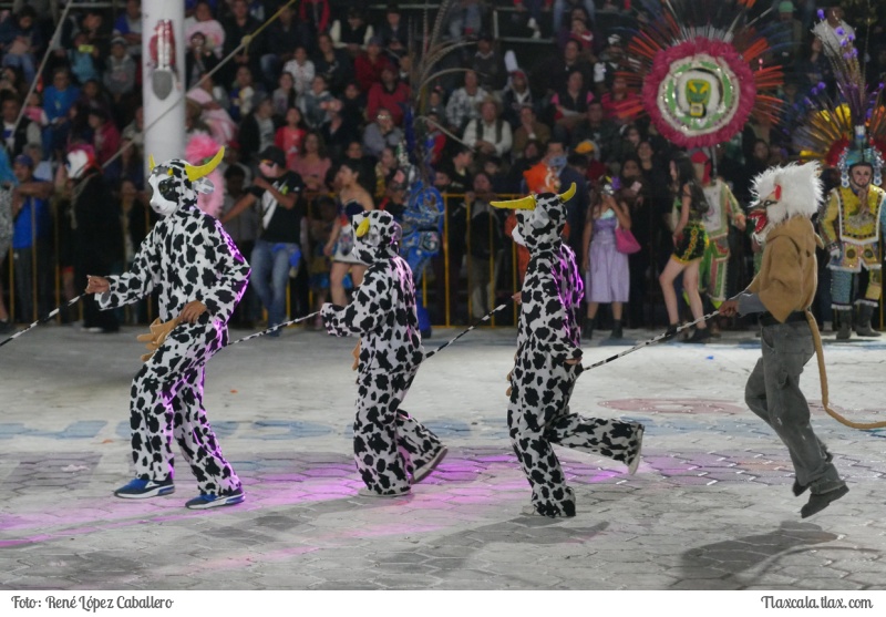 Camada Albedro - Carnaval Yauhquemehcan 2019 - Foto