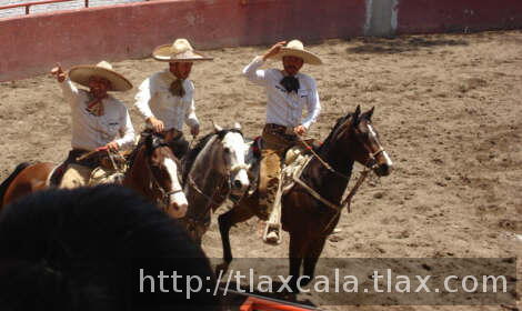 Coleadores de exalumnos
