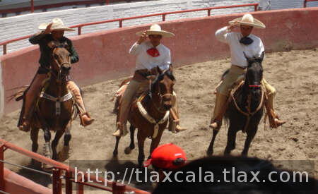 Coleadores universitarios