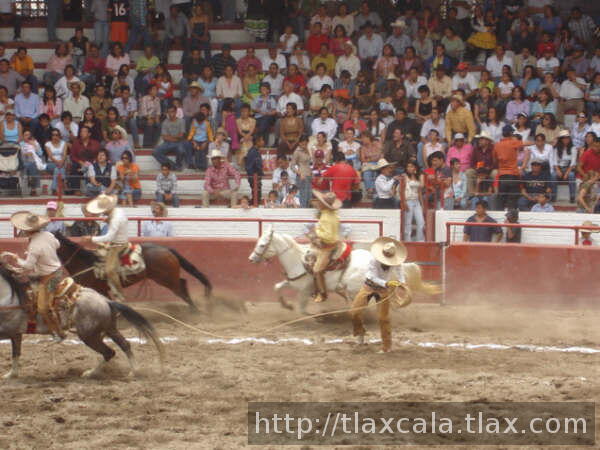 El tecol Enrique Breton fallando su mangana