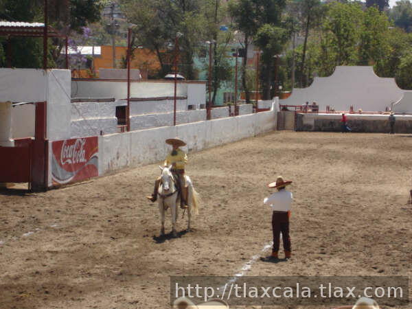 Enrique llaca en su cala