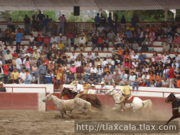 Alejandro alvarez en el paso de la muerte