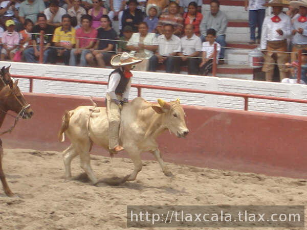 Juan maniuel martinez