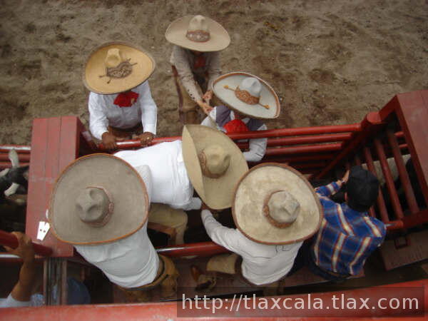 Alejandro alvarez por montar la yegua