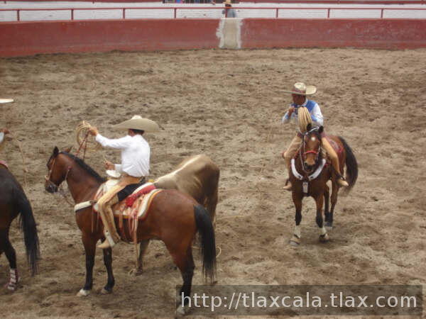 Pial de ruedo de jose luis rivera