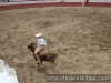 Rodrigo aguilar montando al cornudo