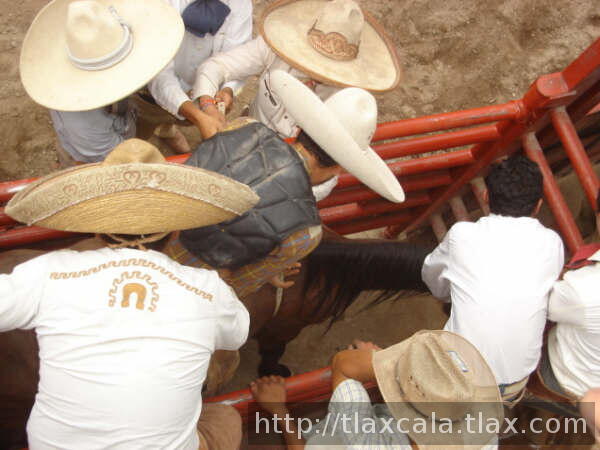 Armando valdez en los cajones