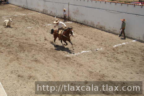 Yayo breton derribando en corto terreno