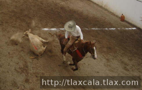 Erasmo Avelar derribado por camperos