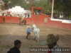 Fernando Ortiz con la ssihuahua