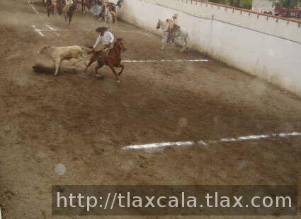 Hugo Morett derribando por camperos