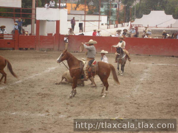 Miguel cortes en la terna por camperos
