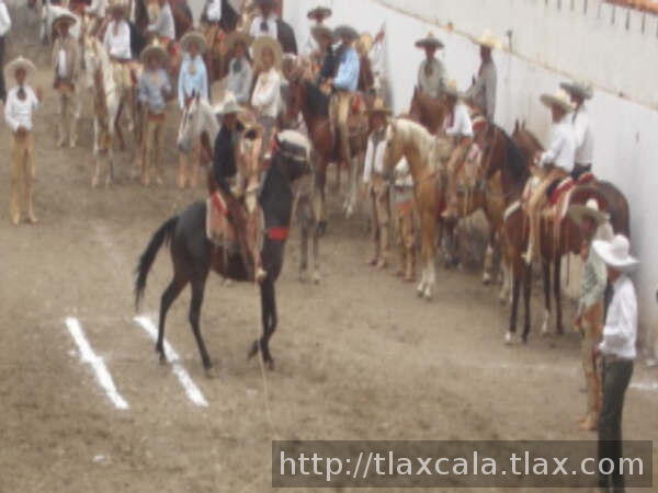 Pial fallido de Oscar lopez