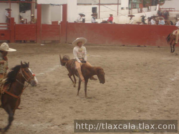 Victor Manuel Lopez huerta en la yegua antes de caerse los dos