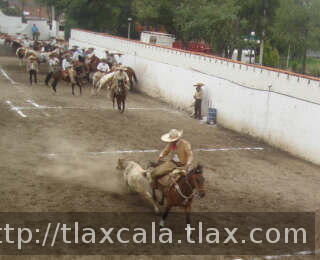 Victor Manuel Lopez jalando