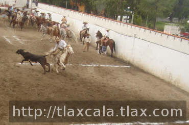 Yayo breton en su tercera