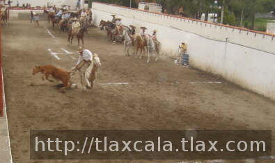 Yayo Breton por regionales de Huamantla
